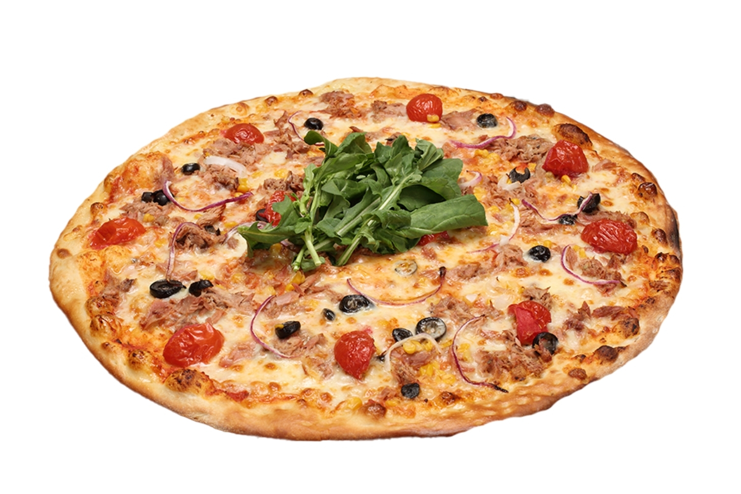 TON BALIKLI PİZZA